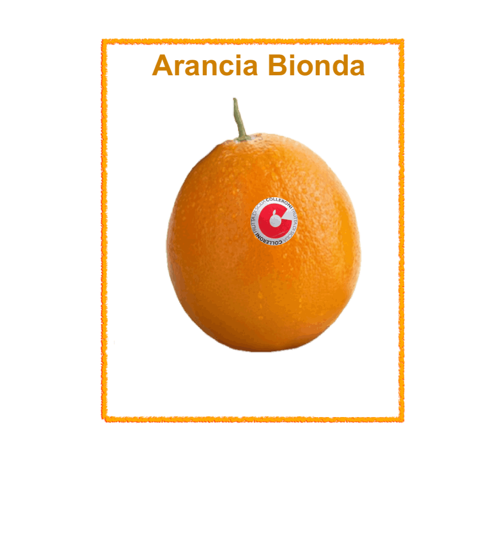 Arancia Bionda Colleroni.it